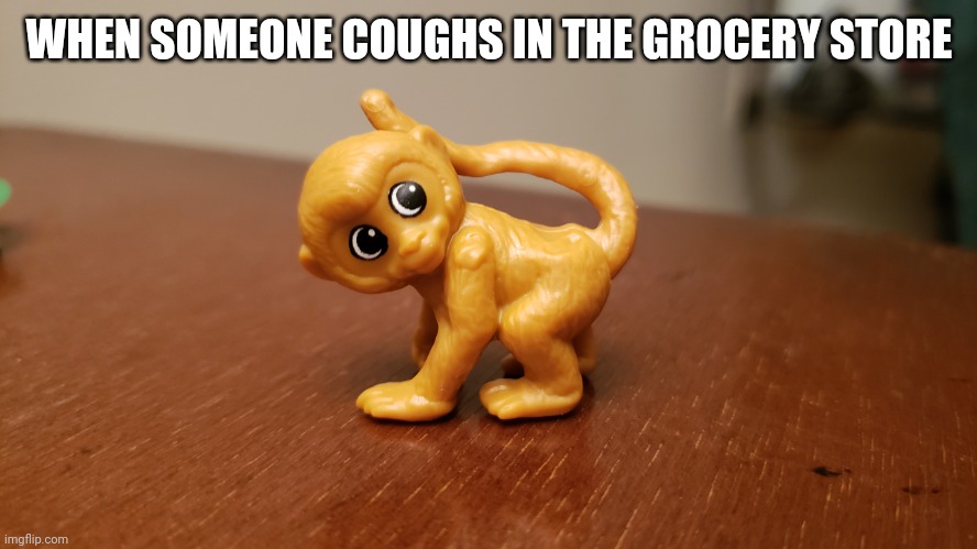 Funky Munky | WHEN SOMEONE COUGHS IN THE GROCERY STORE | image tagged in funky munky | made w/ Imgflip meme maker