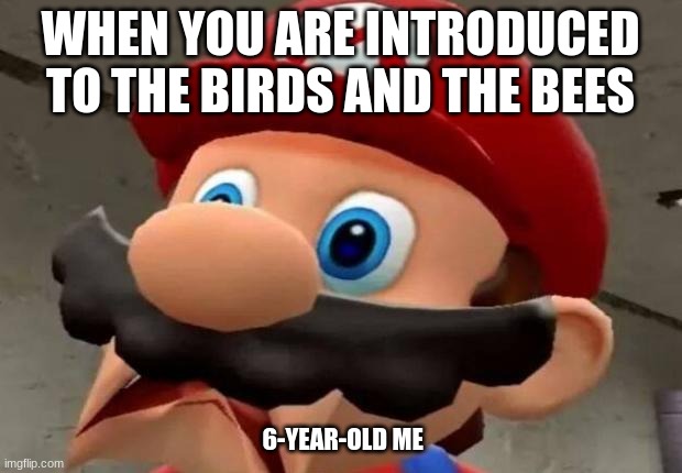 everybody at some point of life | WHEN YOU ARE INTRODUCED TO THE BIRDS AND THE BEES; 6-YEAR-OLD ME | image tagged in mario wtf | made w/ Imgflip meme maker