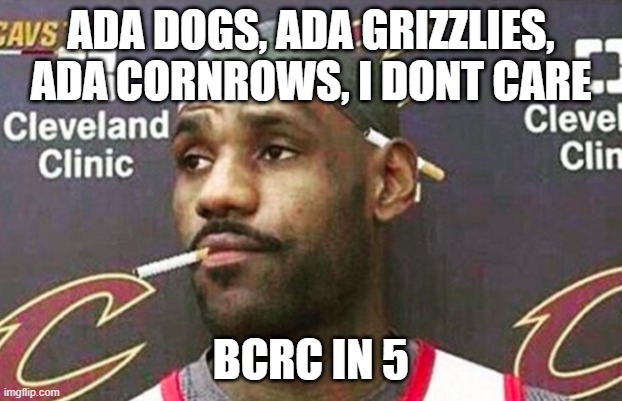 Lebron cigarette  | ADA DOGS, ADA GRIZZLIES, ADA CORNROWS, I DONT CARE; BCRC IN 5 | image tagged in lebron cigarette | made w/ Imgflip meme maker