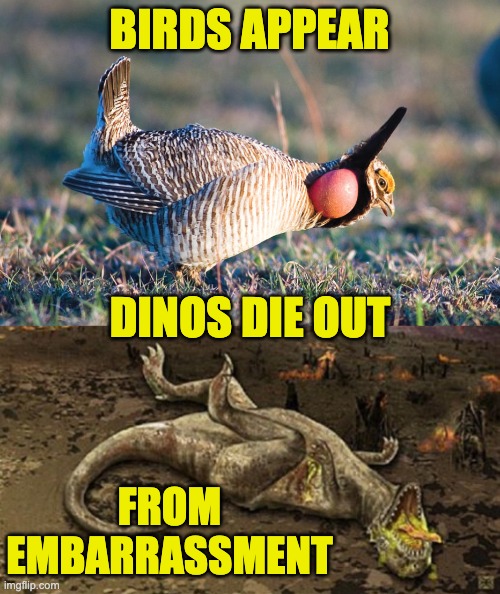 The last surviving therapods . . . are not exactly velociraptors | BIRDS APPEAR; DINOS DIE OUT; FROM EMBARRASSMENT | image tagged in dead dinosaur,birds,dinosaurs,silly | made w/ Imgflip meme maker