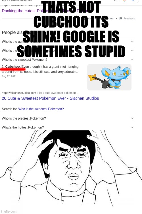 HMMMM IT SAID CUBCHOO BUT THERES A PICTURE OF A SHINX | THATS NOT CUBCHOO ITS SHINX! GOOGLE IS SOMETIMES STUPID; ____ | image tagged in jackie chan wtf,pokemon | made w/ Imgflip meme maker