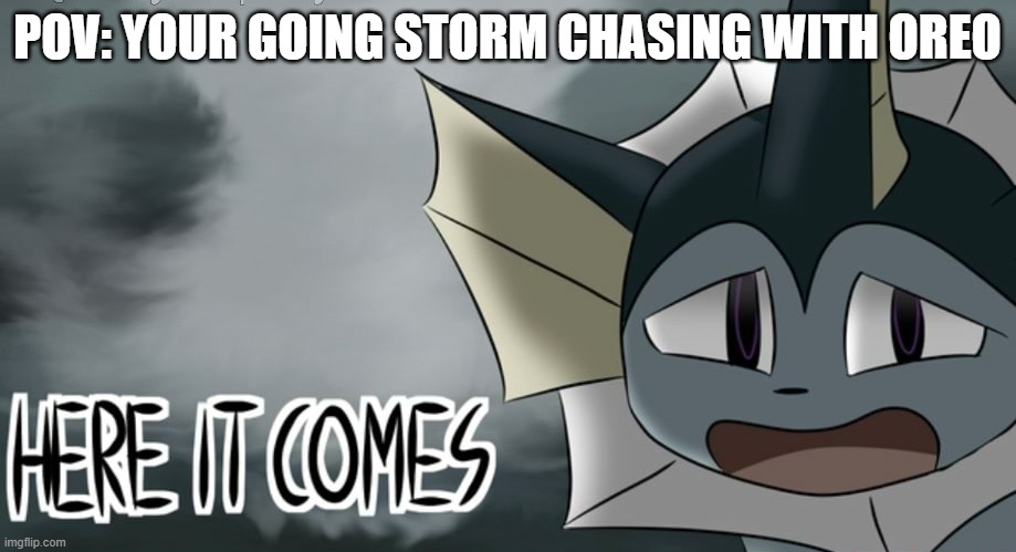 tOrnAdo | POV: YOUR GOING STORM CHASING WITH OREO | image tagged in vaporeon tornado | made w/ Imgflip meme maker