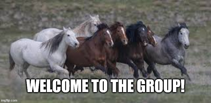 WELCOME TO THE GROUP! | made w/ Imgflip meme maker