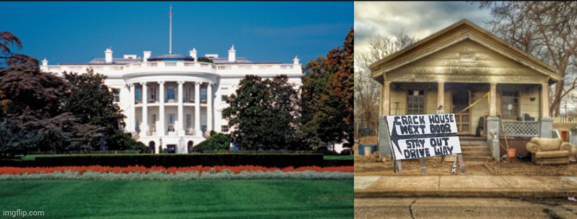 image tagged in crack house next door,dope dealer in chief | made w/ Imgflip meme maker