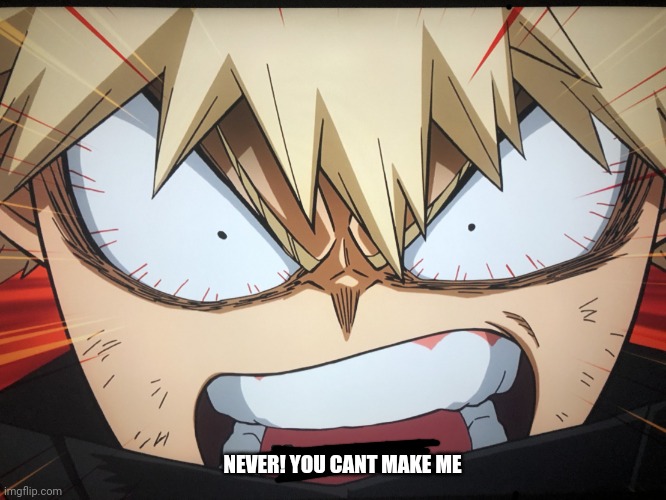Angry Bakugo | NEVER! YOU CANT MAKE ME | image tagged in angry bakugo | made w/ Imgflip meme maker