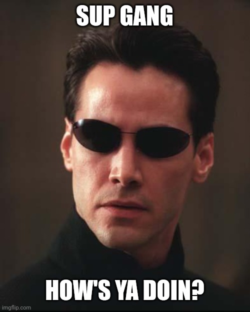 Neo Matrix Keanu Reeves | SUP GANG HOW'S YA DOIN? | image tagged in neo matrix keanu reeves | made w/ Imgflip meme maker