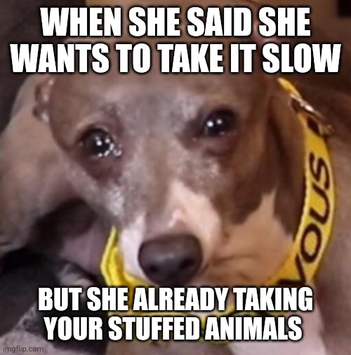 So sad | WHEN SHE SAID SHE WANTS TO TAKE IT SLOW; BUT SHE ALREADY TAKING YOUR STUFFED ANIMALS | image tagged in memes | made w/ Imgflip meme maker