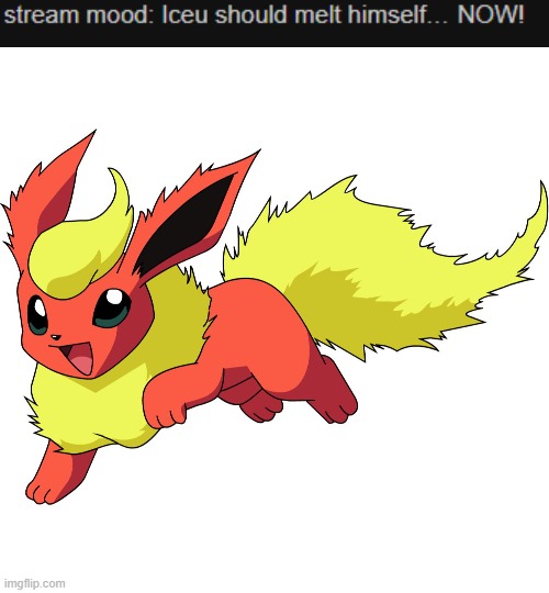 the floof | image tagged in flareon | made w/ Imgflip meme maker
