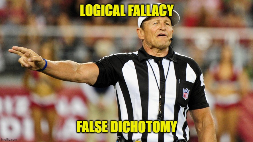 Logical Fallacy Referee | LOGICAL FALLACY FALSE DICHOTOMY | image tagged in logical fallacy referee | made w/ Imgflip meme maker