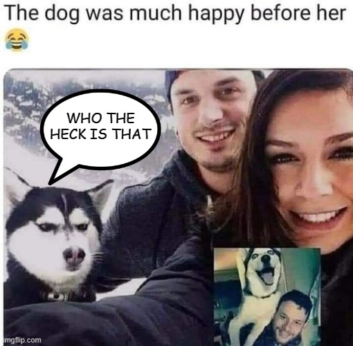 "/ |  WHO THE HECK IS THAT | image tagged in memes,funny,dog,doggo,doge,um | made w/ Imgflip meme maker