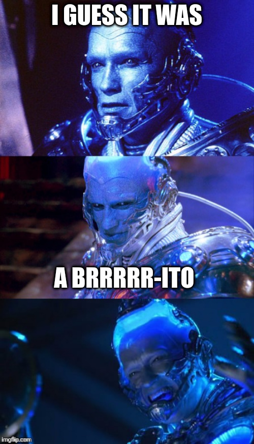 Bad pun Mr Freeze | I GUESS IT WAS A BRRRRR-ITO | image tagged in bad pun mr freeze | made w/ Imgflip meme maker