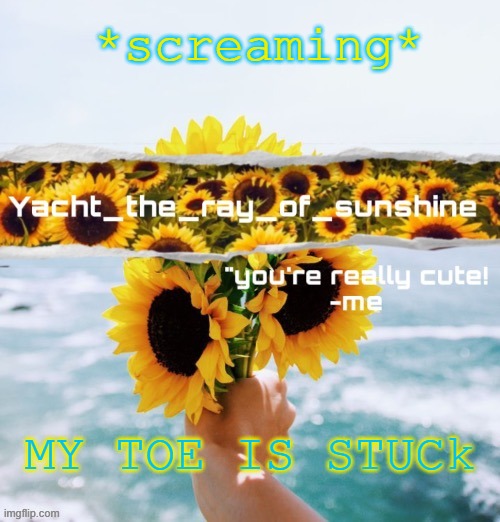 yacht's sunflower temp (THANK YOU SUGA) | *screaming*; MY TOE IS STUCk | image tagged in yacht's sunflower temp thank you suga | made w/ Imgflip meme maker