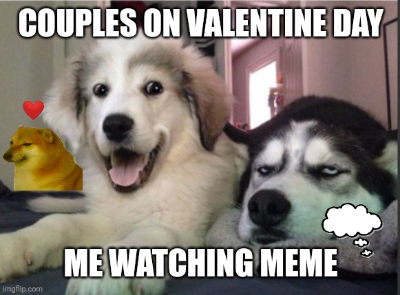 Knock, knock, dogs single panel | COUPLES ON VALENTINE DAY; ME WATCHING MEME | image tagged in knock knock dogs single panel | made w/ Imgflip meme maker