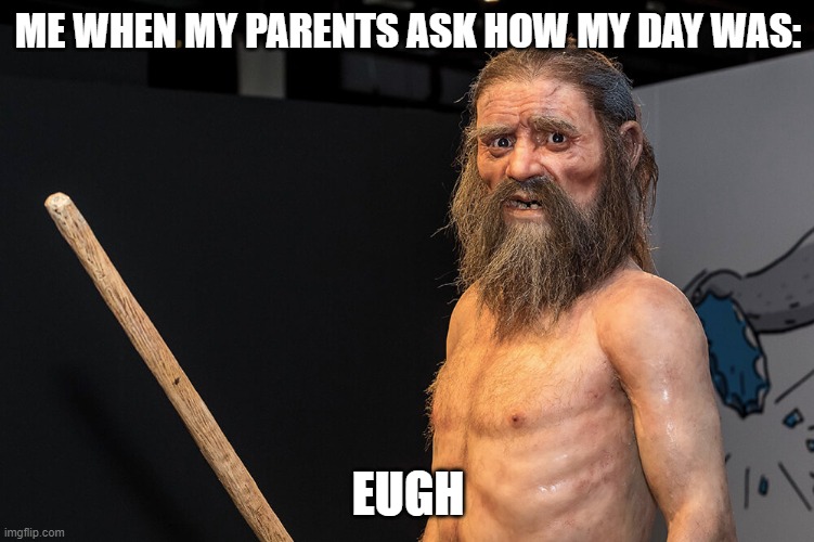 huh? | ME WHEN MY PARENTS ASK HOW MY DAY WAS:; EUGH | image tagged in otzi the iceman | made w/ Imgflip meme maker