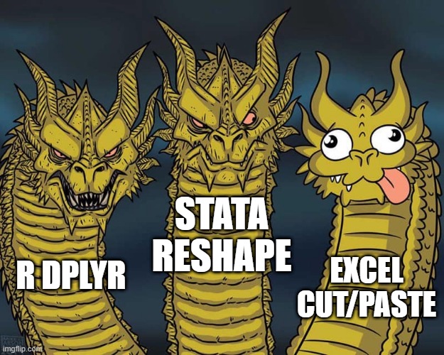 Three dragons | STATA RESHAPE; EXCEL CUT/PASTE; R DPLYR | image tagged in three dragons | made w/ Imgflip meme maker