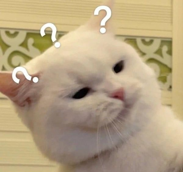 High Quality cat confused Blank Meme Template