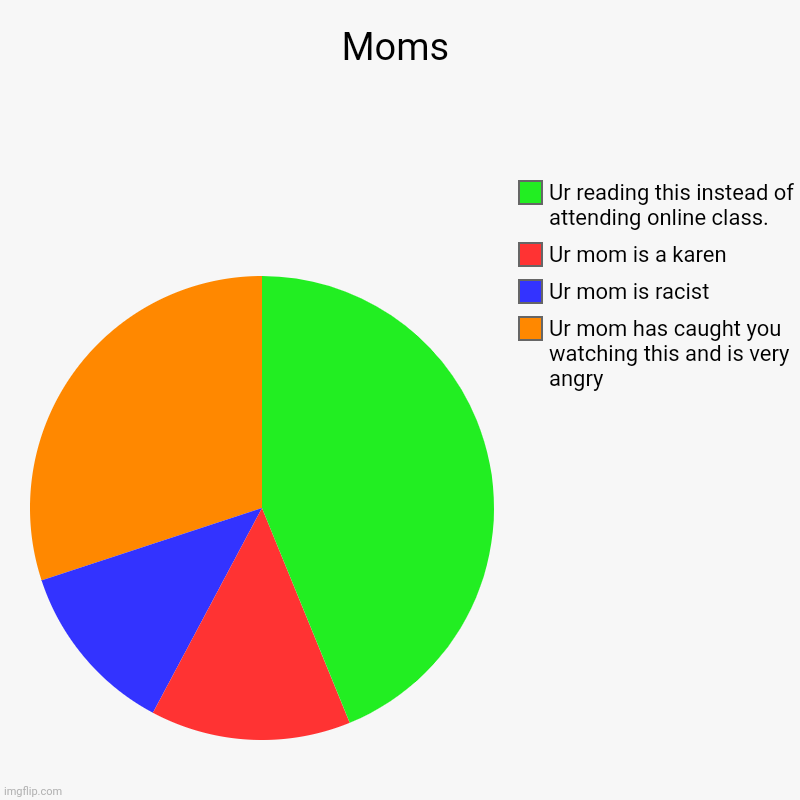 Moms | Ur mom has caught you watching this and is very angry, Ur mom is racist, Ur mom is a karen, Ur reading this instead of attending onli | image tagged in charts,pie charts | made w/ Imgflip chart maker