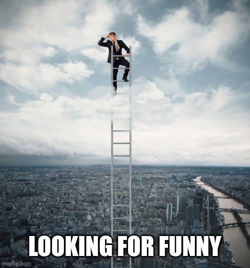 searching | LOOKING FOR FUNNY | image tagged in searching | made w/ Imgflip meme maker