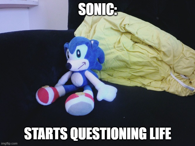 hmm... | SONIC:; STARTS QUESTIONING LIFE | image tagged in sonic questioning life | made w/ Imgflip meme maker