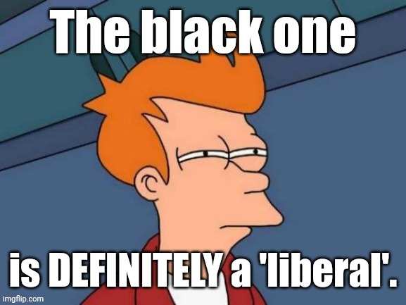 Fry is not sure... | The black one is DEFINITELY a 'liberal'. | image tagged in fry is not sure | made w/ Imgflip meme maker