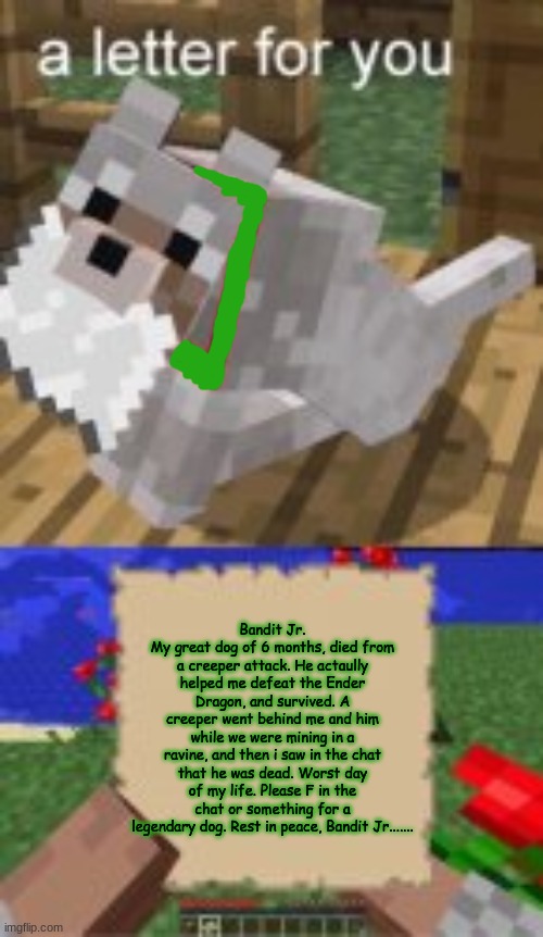 Creepers suck...RIP Bandit Jr... | Bandit Jr.
My great dog of 6 months, died from a creeper attack. He actaully helped me defeat the Ender Dragon, and survived. A creeper went behind me and him while we were mining in a ravine, and then i saw in the chat that he was dead. Worst day of my life. Please F in the chat or something for a legendary dog. Rest in peace, Bandit Jr....... | image tagged in a letter for you,rip,bandit,dog,minecraft | made w/ Imgflip meme maker