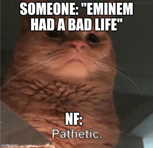 You gotta admit, NF compared to Eminem..yeah | SOMEONE: "EMINEM HAD A BAD LIFE"; NF: | image tagged in pathetic cat | made w/ Imgflip meme maker