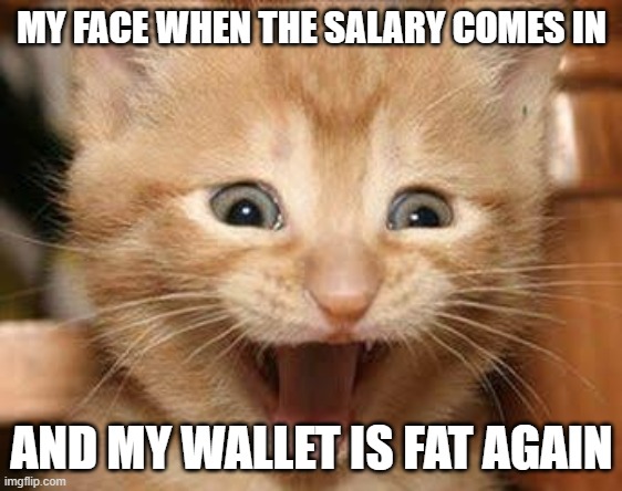 fat wallet cat meme | MY FACE WHEN THE SALARY COMES IN; AND MY WALLET IS FAT AGAIN | image tagged in memes,excited cat | made w/ Imgflip meme maker