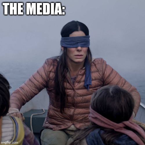 Bird Box Meme | THE MEDIA: | image tagged in memes,bird box | made w/ Imgflip meme maker