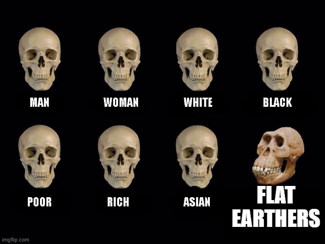 THE EARTH IS A SPHERE | FLAT EARTHERS | image tagged in empty skulls of truth | made w/ Imgflip meme maker