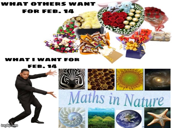 MATH IN NATURE | image tagged in math | made w/ Imgflip meme maker