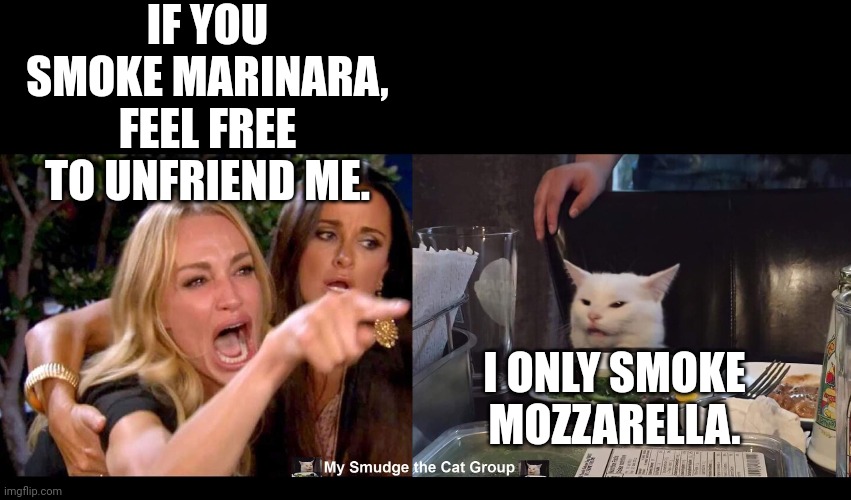 IF YOU SMOKE MARINARA, FEEL FREE TO UNFRIEND ME. I ONLY SMOKE MOZZARELLA. | image tagged in smudge the cat | made w/ Imgflip meme maker