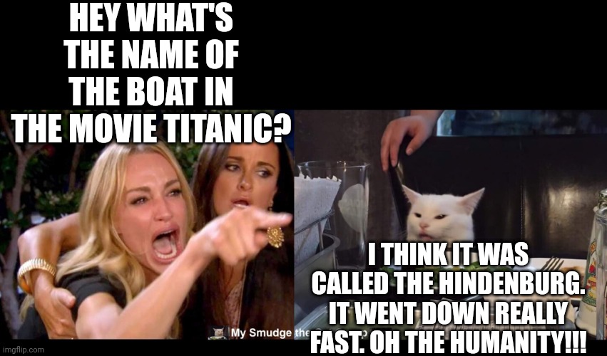 HEY WHAT'S THE NAME OF THE BOAT IN THE MOVIE TITANIC? I THINK IT WAS CALLED THE HINDENBURG. IT WENT DOWN REALLY FAST. OH THE HUMANITY!!! | image tagged in smudge the cat | made w/ Imgflip meme maker