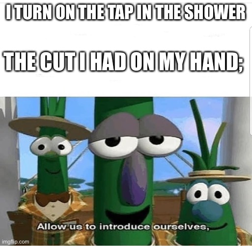 I hate this | I TURN ON THE TAP IN THE SHOWER; THE CUT I HAD ON MY HAND; | image tagged in allow us to introduce ourselves | made w/ Imgflip meme maker