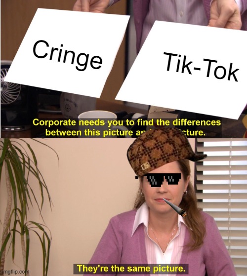 They're The Same Picture Meme | Cringe; Tik-Tok | image tagged in memes,they're the same picture | made w/ Imgflip meme maker