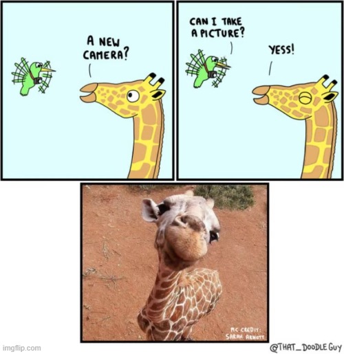 image tagged in comics | made w/ Imgflip meme maker