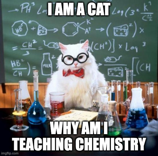 Why am I teaching chemistry |  I AM A CAT; WHY AM I TEACHING CHEMISTRY | image tagged in memes,chemistry cat,cat | made w/ Imgflip meme maker