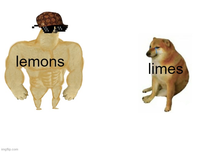 Buff Doge vs. Cheems | lemons; limes | image tagged in memes,buff doge vs cheems | made w/ Imgflip meme maker