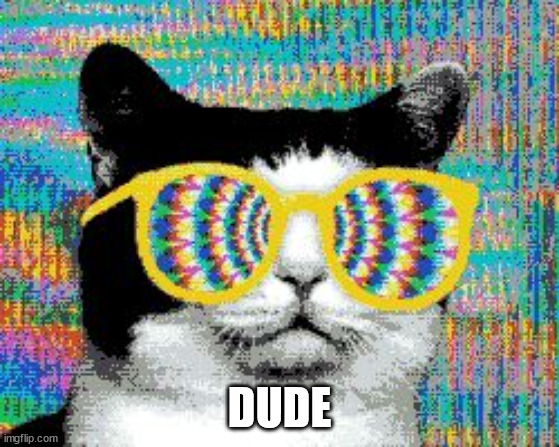 psychedelic cat | DUDE | image tagged in psychedelic cat | made w/ Imgflip meme maker