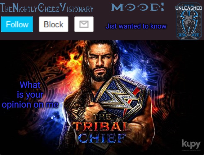TheNightlyCheezVisionary Roman Reigns temp V2 | Jist wanted to know; What is your opinion on me | image tagged in thenightlycheezvisionary roman reigns temp v2 | made w/ Imgflip meme maker