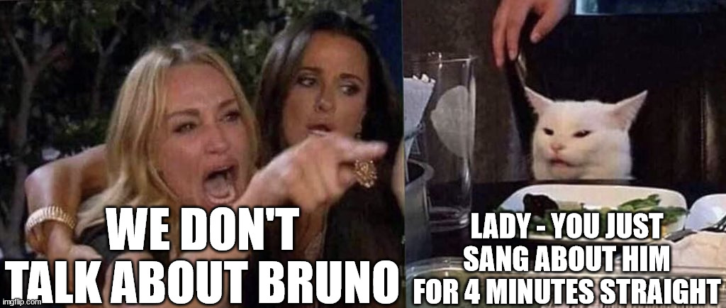 He aint lyin'... | WE DON'T TALK ABOUT BRUNO; LADY - YOU JUST SANG ABOUT HIM FOR 4 MINUTES STRAIGHT | image tagged in woman yelling at cat,bruno,we don't talk about bruno,encanto,cat,cats | made w/ Imgflip meme maker
