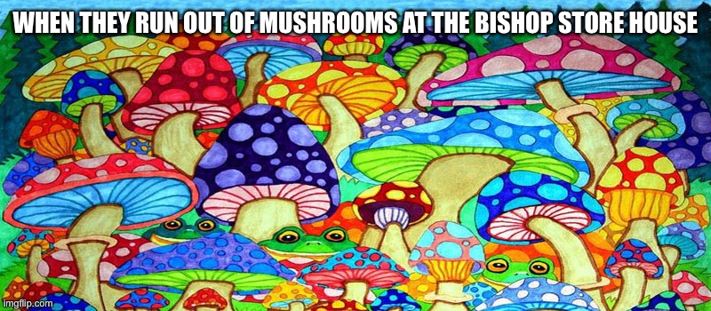 First Vision | WHEN THEY RUN OUT OF MUSHROOMS AT THE BISHOP STORE HOUSE | image tagged in mushroom,lds,church,psychedelics | made w/ Imgflip meme maker