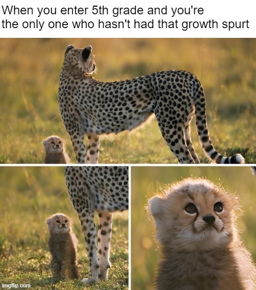 They Might Be Giants | When you enter 5th grade and you're the only one who hasn't had that growth spurt | image tagged in memes,animals,school | made w/ Imgflip meme maker
