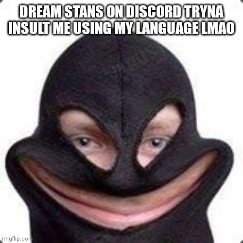 the | DREAM STANS ON DISCORD TRYNA INSULT ME USING MY LANGUAGE LMAO | image tagged in the | made w/ Imgflip meme maker