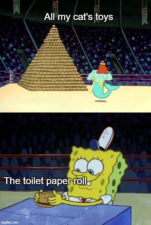 Take poop, grab cat -- problem solved | All my cat's toys; The toilet paper roll | image tagged in spongebob burger,memes,cats | made w/ Imgflip meme maker