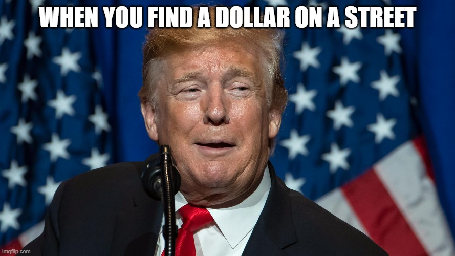 Donalds dollar | WHEN YOU FIND A DOLLAR ON A STREET | image tagged in donald trump,money,dollar | made w/ Imgflip meme maker
