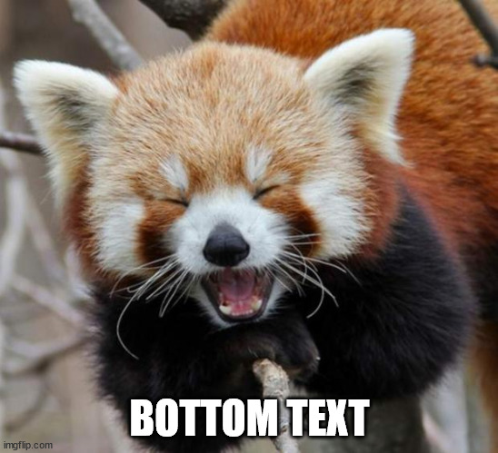 Red Panda | BOTTOM TEXT | image tagged in red panda | made w/ Imgflip meme maker