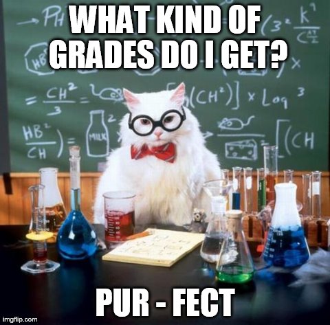 Chemistry Cat Meme | WHAT KIND OF GRADES DO I GET? PUR - FECT | image tagged in memes,chemistry cat | made w/ Imgflip meme maker