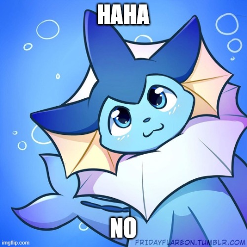 vaporeon | HAHA NO | image tagged in vaporeon | made w/ Imgflip meme maker