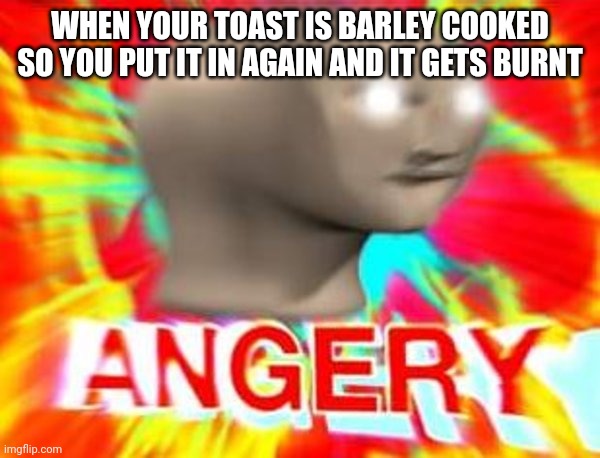 This has happened to you before right? |  WHEN YOUR TOAST IS BARLEY COOKED SO YOU PUT IT IN AGAIN AND IT GETS BURNT | image tagged in surreal angery | made w/ Imgflip meme maker