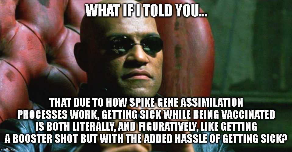 Your body doesn't care where the enzymes come from, except when it has to fight an infection to get them from the invading army' |  WHAT IF I TOLD YOU... THAT DUE TO HOW SPIKE GENE ASSIMILATION PROCESSES WORK, GETTING SICK WHILE BEING VACCINATED IS BOTH LITERALLY, AND FIGURATIVELY, LIKE GETTING A BOOSTER SHOT BUT WITH THE ADDED HASSLE OF GETTING SICK? | image tagged in laurence fishburne morpheus | made w/ Imgflip meme maker